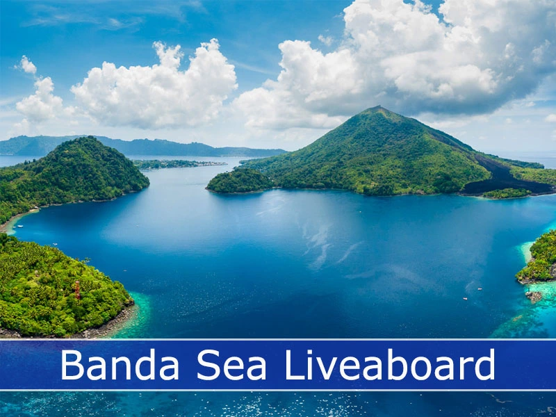 Banda Sea Liveaboard