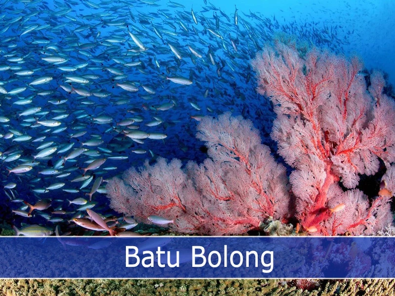 Batu Bolong