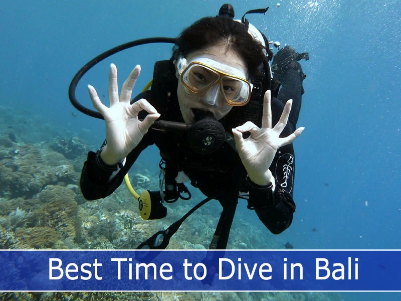 Best Time to Dive in Bali