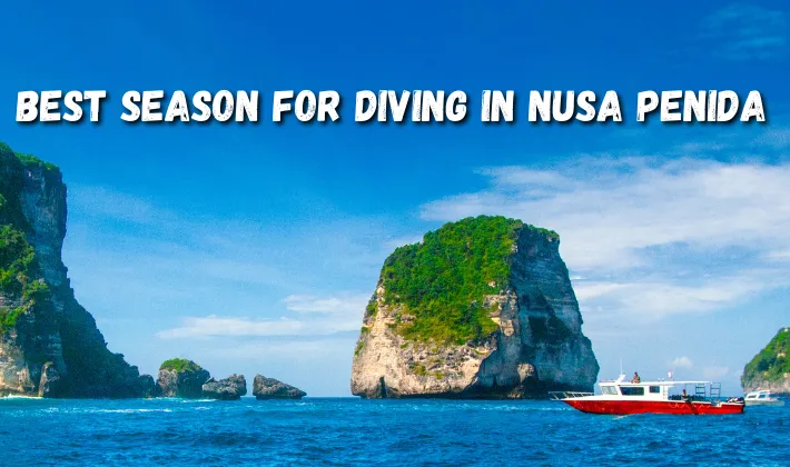 Best season for diving in Nusa Penida