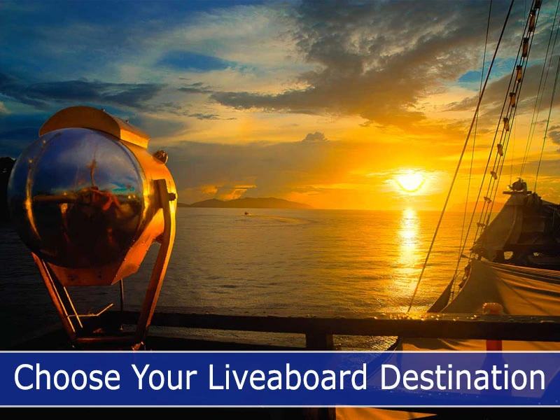 Choose Your Liveaboard Destination