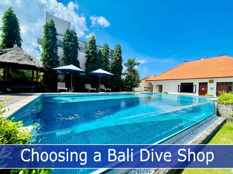 Choosing a Bali Dive Shop