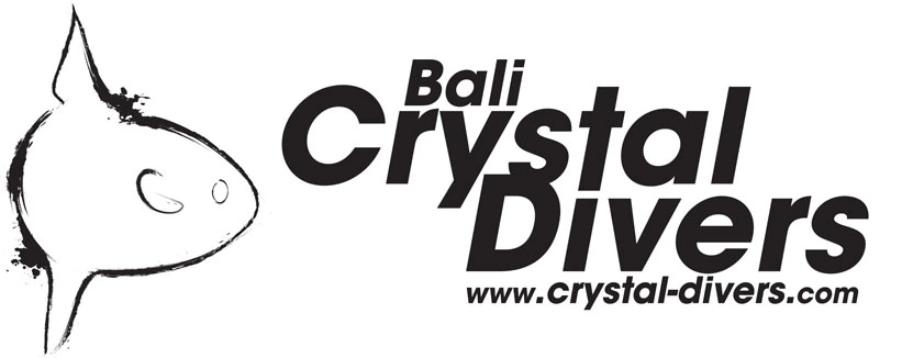 Crystal divers bali