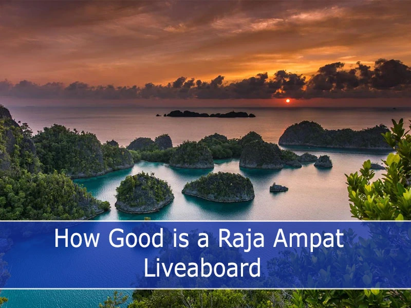 How good is a Raja Ampat Liveaboard