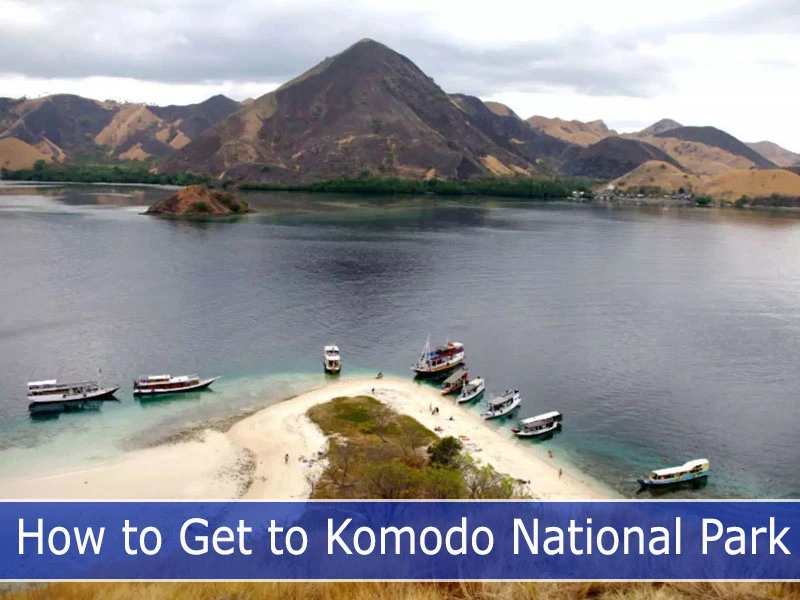 How to Get to Komodo National Park