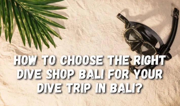 How to choose the right dive shop Bali for your scuba diving Bali adventure?