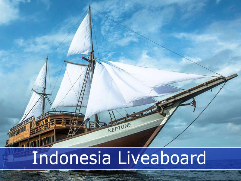 Indonesia Liveaboard