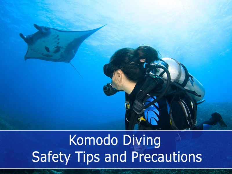 Komodo Diving Safety Tips and Precautions