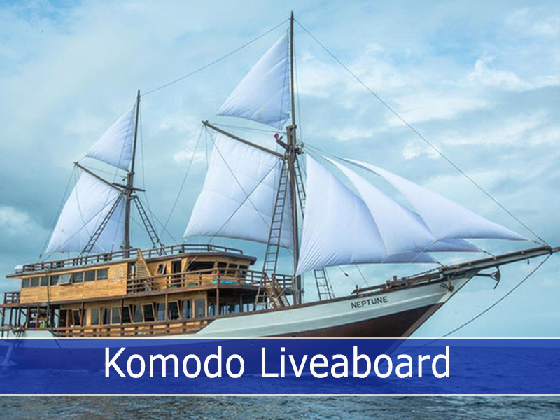 Komodo Liveaboard