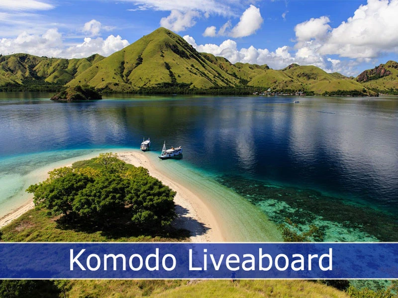 Komodo Liveaboard