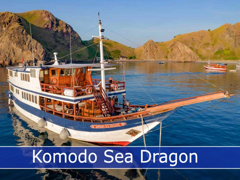 Komodo Sea Dragon