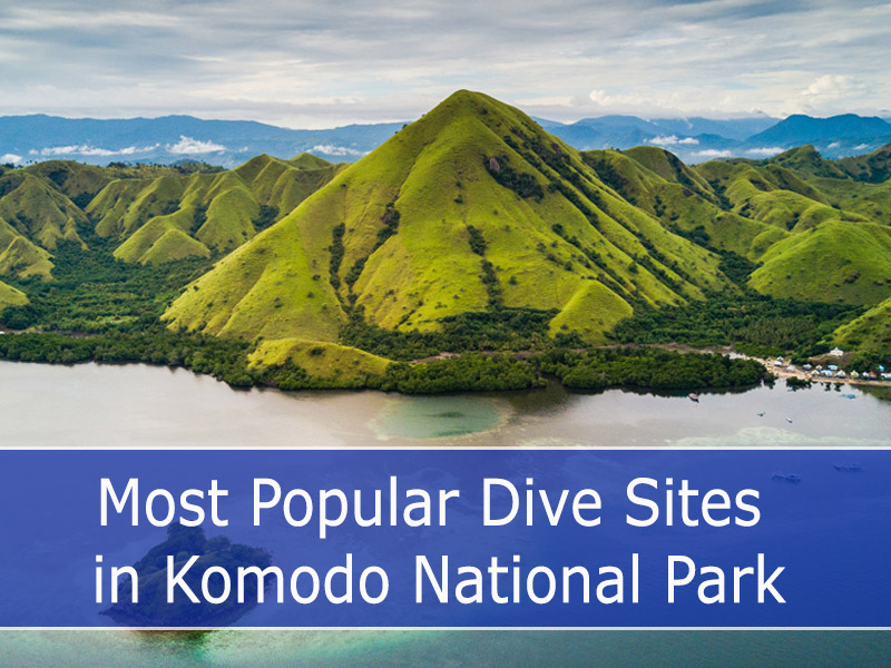 Most Popular Dive Sites in Komodo National Park