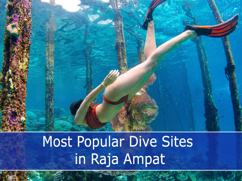 Most Popular Dive Sites in Raja Ampat
