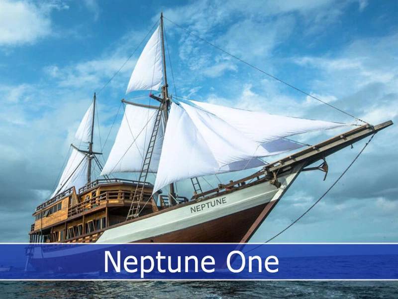 Neptune One