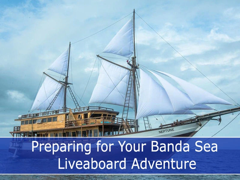 Preparing for Your Banda Sea Liveaboard Adventure