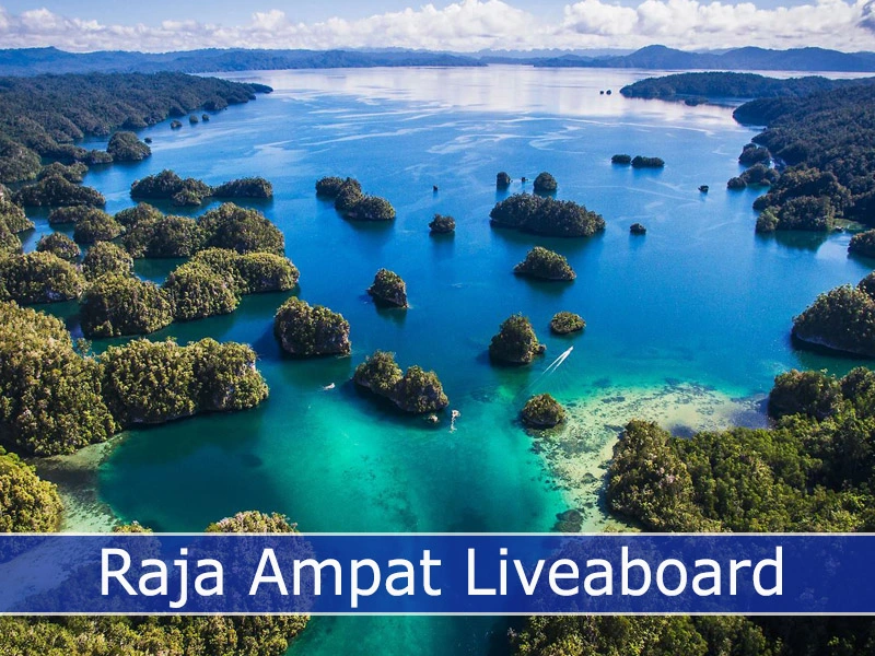 Rajaampat Liveaboard