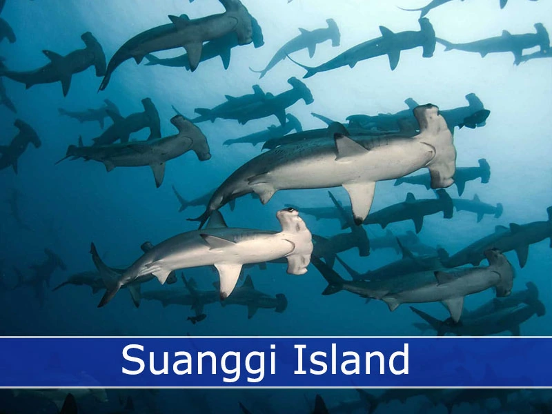 Suanggi Island