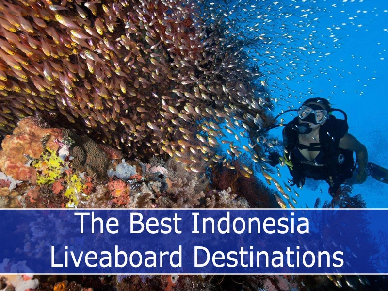 The Best Indonesia Liveaboard Destinations
