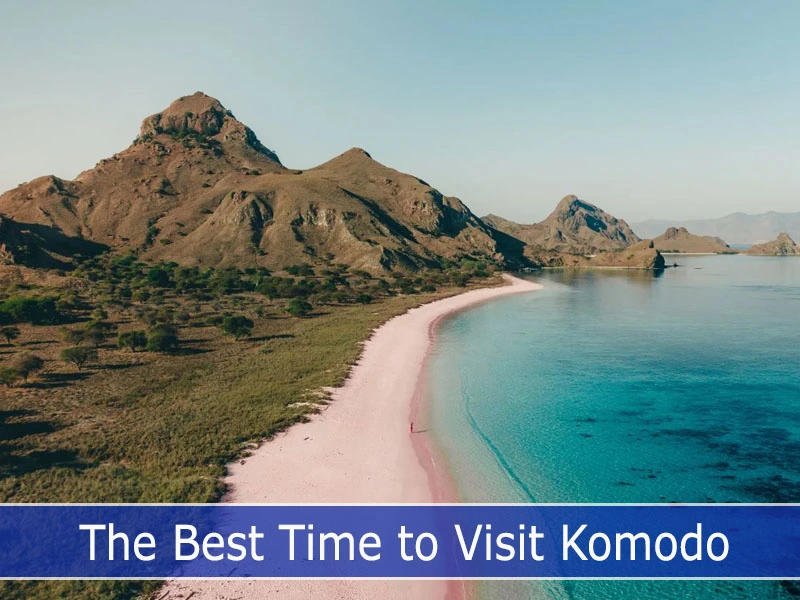 When Is The Best Time to Visit Komodo