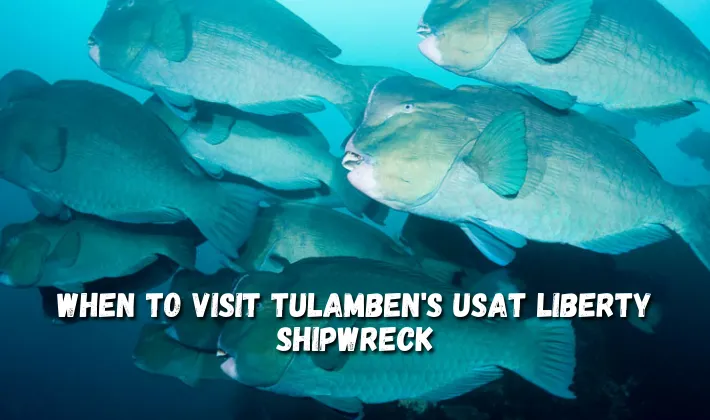 When to visit Tulamben’s USAT Liberty Shipwreck