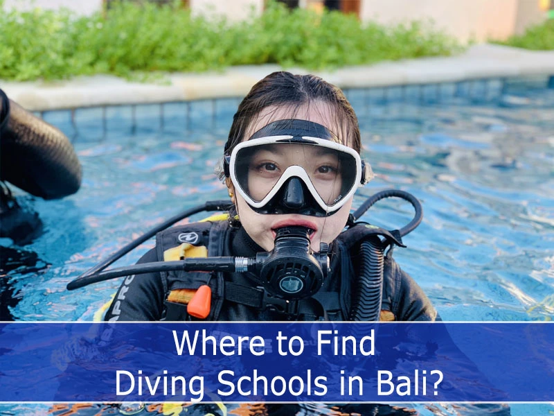 Where to Find Diving Schools in Bali