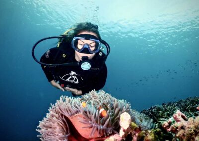 komodo Diver with anemone