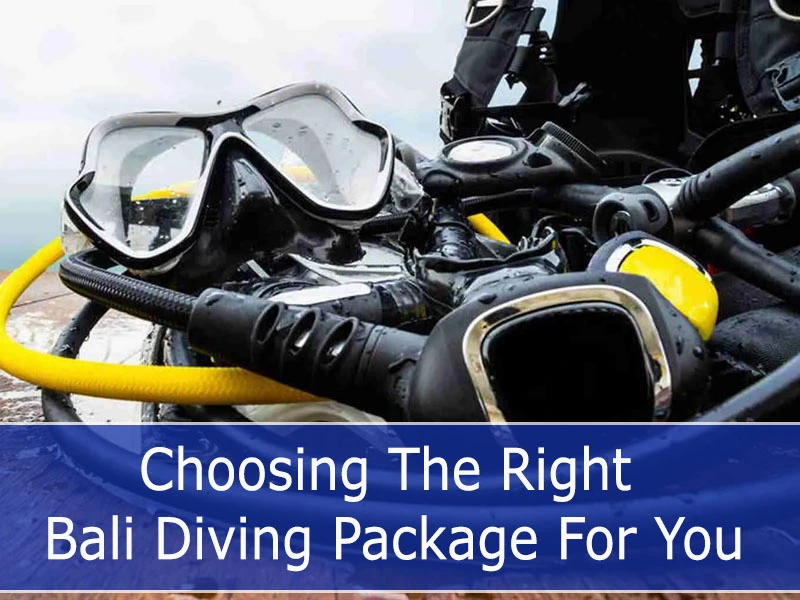 Choosing the Right Bali Diving Package for You