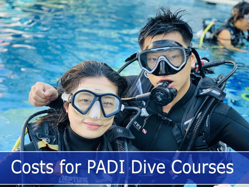 Costs for PADI Dive Courses