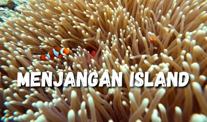 Menjangan Island