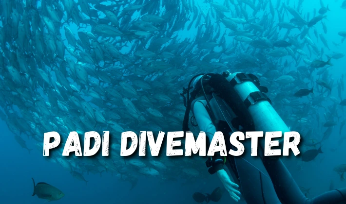 PADI Divemaster