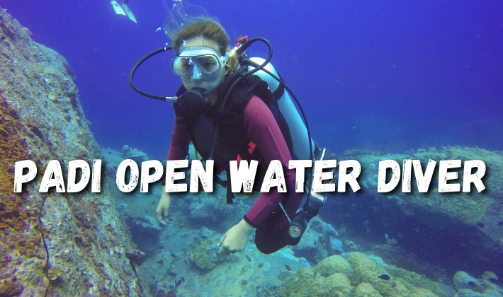 PADI Open Water Diver