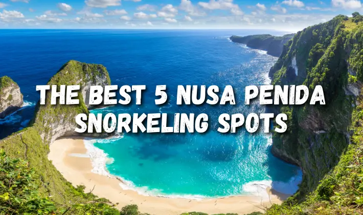 The Best 5 Nusa Penida Snorkeling Spots