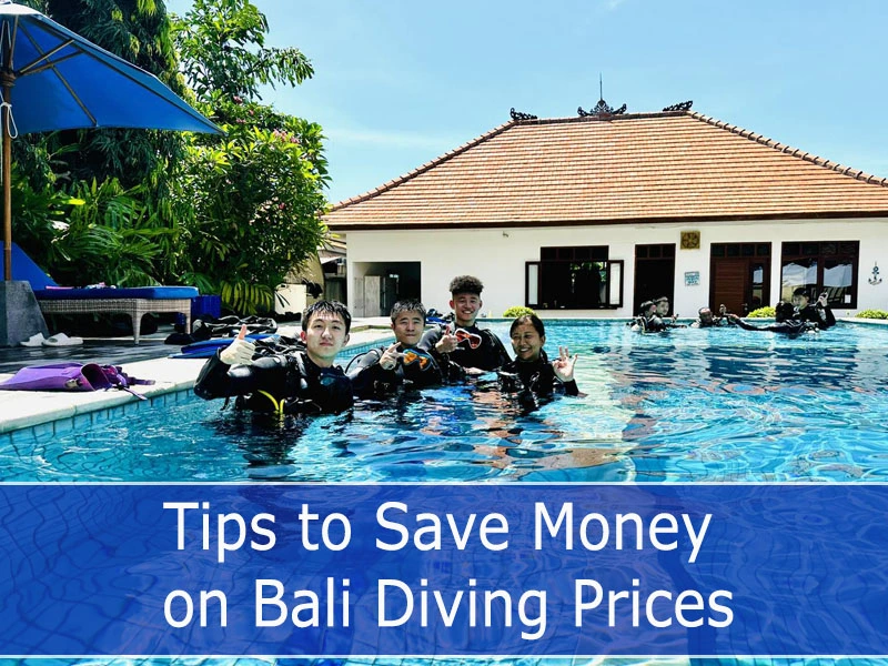 Tips to Save Money on Bali Diving Prices