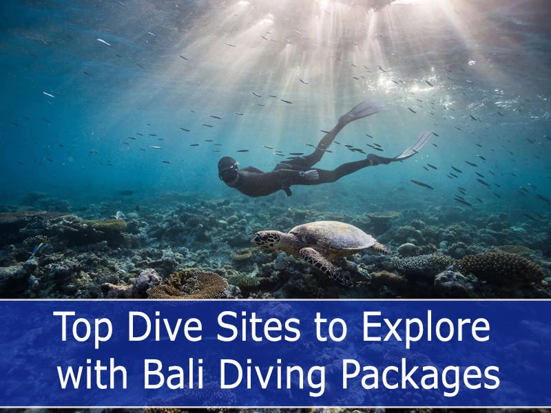 Top Dive Sites to Explore with Bali Diving Packages