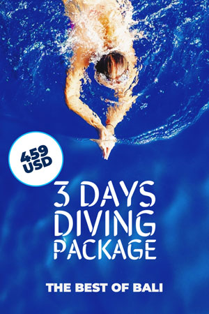 Bali Diving 3 days package