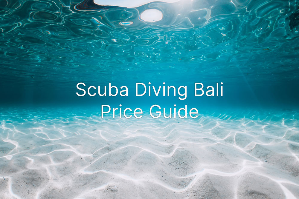 Bali Diving Price