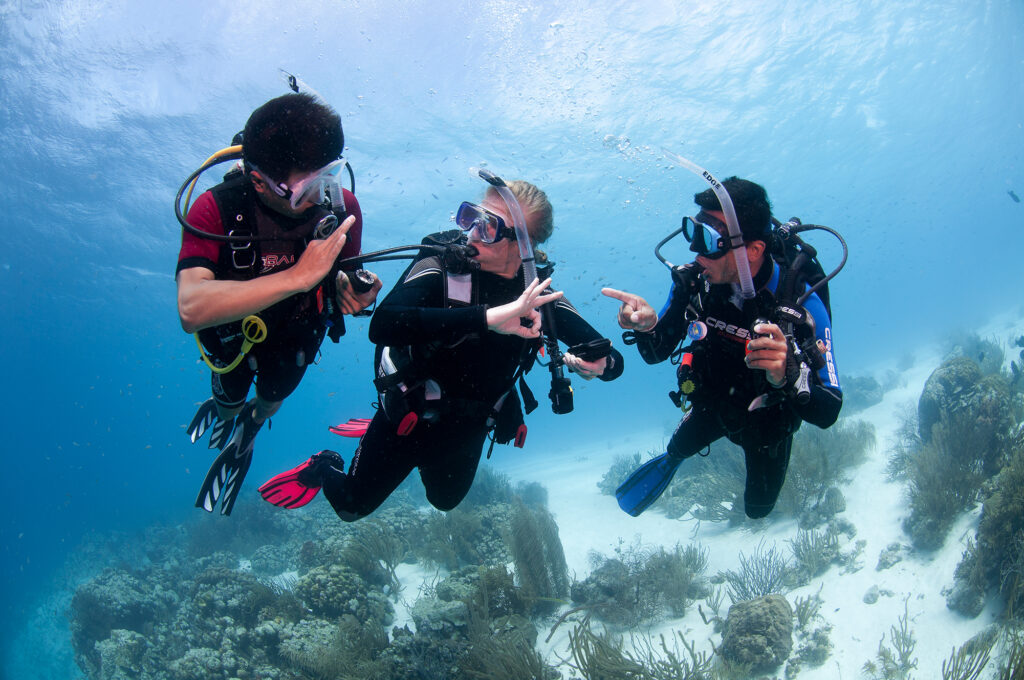 scuba diving hand signals