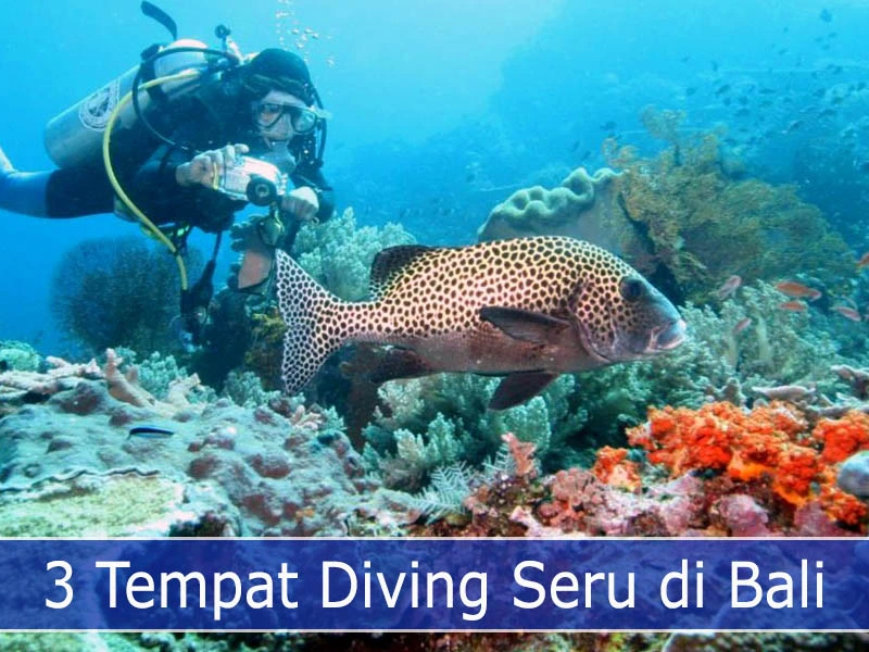 3 Tempat Diving Seru di Bali