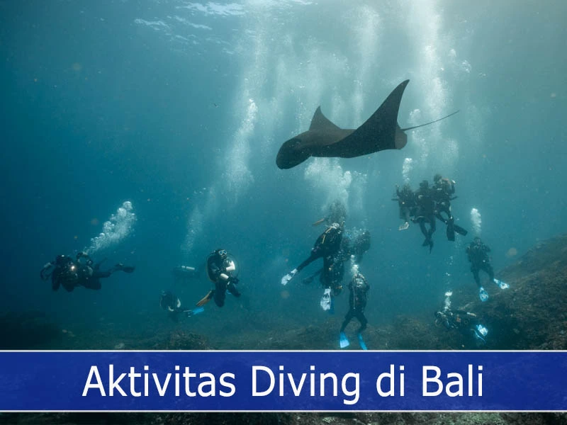 Aktivitas Diving di Bali