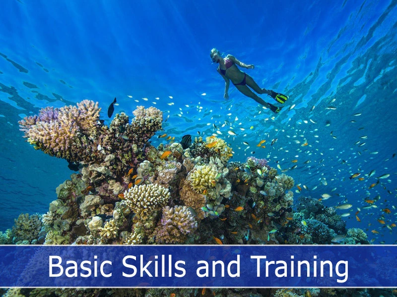 Basic Skills and Training