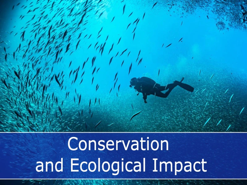 Conservation and Ecological Impact