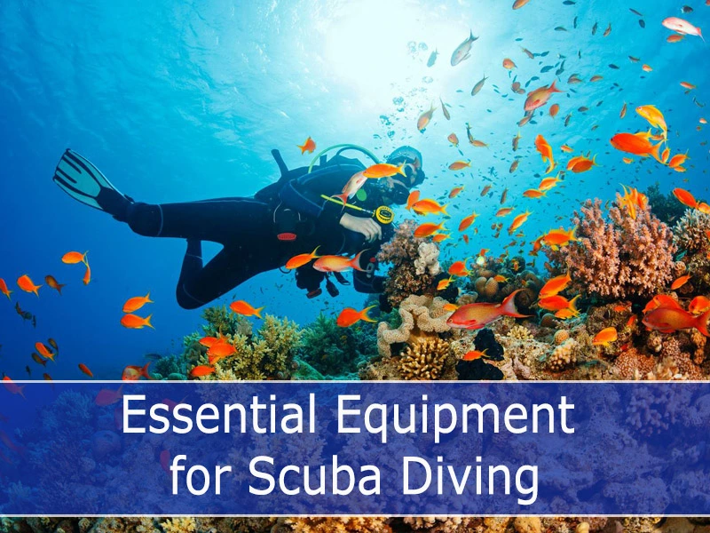 Scuba Diving: A Guide For Beginners - Neptune Scuba Diving