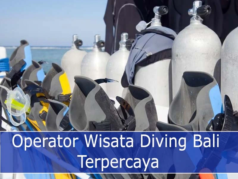 Operator Wisata Diving Bali Terpercaya