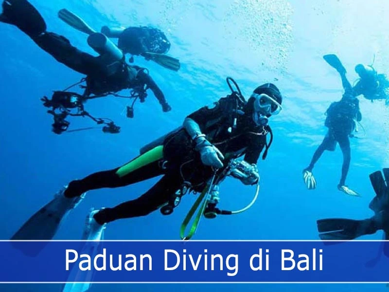 Paduan Diving di Bali