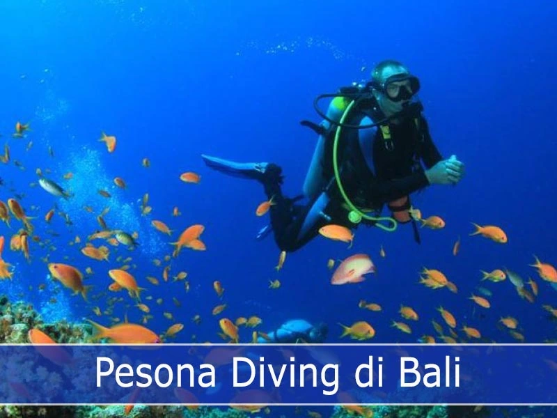Diving di Bali