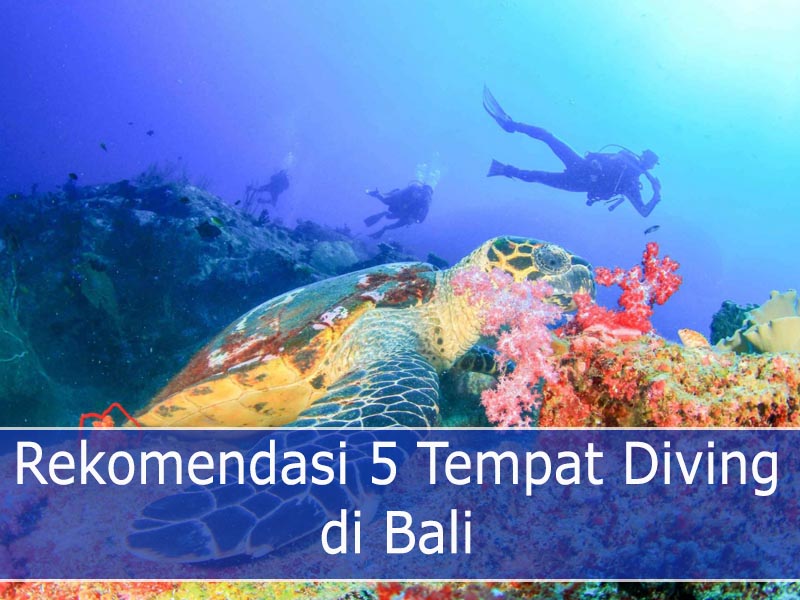 Rekomendasi 5 Tempat Diving di Bali
