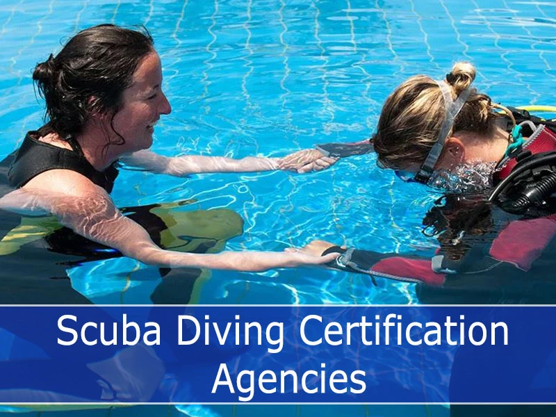 Scuba Diving Certification Agencies