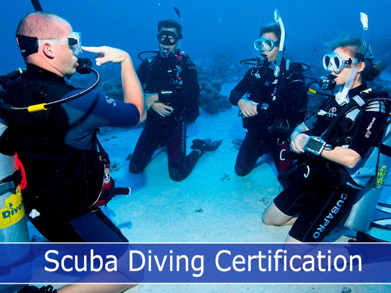 Scuba Diving Certification