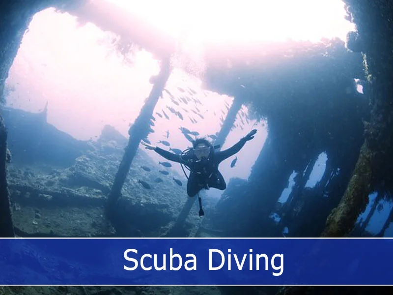 Scuba Diving