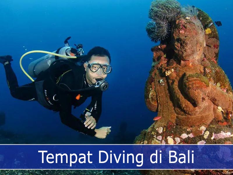 Tempat Diving di Bali